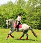 HKM / Kleinstepp Rot