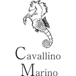 Cavallino Marino Copper Kiss