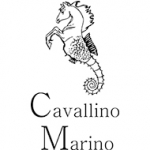 Cavallino Marino Atlantis