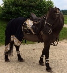 HKM / Glööckler Animal Print 