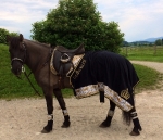 HKM / Glööckler Animal Print 