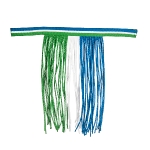 PRO-TEAM / Global Team