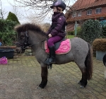 Little Sister / Sweetheart