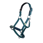 PRO-TEAM / Neon Sports