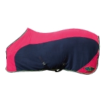 PRO-TEAM / Neon Sports