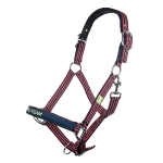 PRO-TEAM / Neon Sports