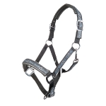 Lauria Garrelli / Limoni