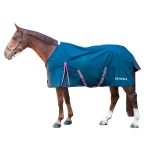 PRO-TEAM / Active 19