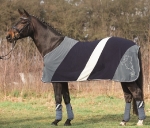 Cavallino Marino / Atlantis