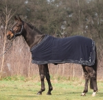 Cavallino Marino / Atlantis