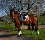 Lauria Garrelli / Champagne