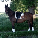 Lauria Garrelli / Champagne