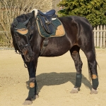 Lauria Garrelli / Champagne