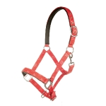 Bibi & Tina / Mädchen gegen Jungs