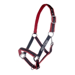 PRO-TEAM / Performance