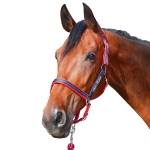 PRO-TEAM / Performance