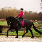 LeMieux / Loire Classic Mulberry