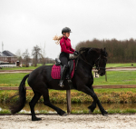 LeMieux / Loire Classic Mulberry