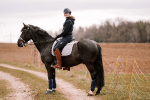 LeMieux / ProSport / Cotton Dressage Square Grey