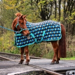 Loesdau / Pony Love Choco