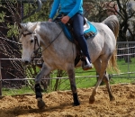 Mattes / Barrel Pad Petrol