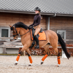 PS of Sweden / Brown Suede Burnt Orange