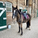 PS of Sweden / Monogram Wine