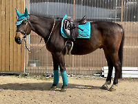 PS of Sweden / Monogram Pacific Ocean