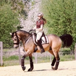 PS of Sweden / Stripe Sheer Champagne