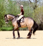 PS of Sweden / Stripe Sheer Champagne