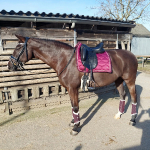 PS of Sweden / Christmas 2021 Dusty Wine