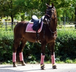 PS of Sweden / Monogram Renaissance