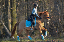 PS of Sweden / Turquoise