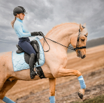 PS of Sweden / Signature Clear Sky