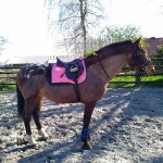 Ps of Sweden / Cranberry