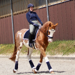 PS of Sweden / Pro Collection Navy