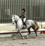 PS of Sweden / Monogram Moss