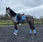 PS of Sweden / Monogram Sea