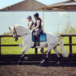 PS of Sweden / Ombre Navy