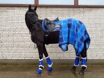 RidersDeal / Softgamaschen Royalblau