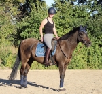 Spooks /  Fineline Legion Blue/Navy 