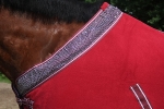 Tyson's Breeches / Abschwitzdecken