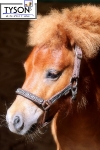 Tyson's Breeches / Halfter