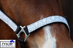 Tyson's Breeches / Halfter