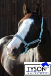 Tyson's Breeches / Halfter