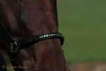 Magic Tack