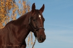 Magic Tack