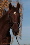 Magic Tack