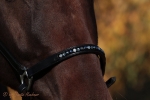 Magic Tack