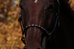 Magic Tack